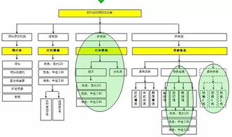 從養(yǎng)殖場(chǎng)到展示臺(tái) 中擂品牌策劃賦能江豐實(shí)業(yè)肉雞全產(chǎn)業(yè)鏈整合營(yíng)銷